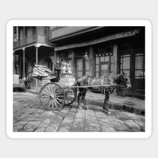 Milk Delivery Cart, 1903. Vintage Photo Magnet